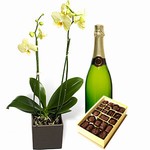 Orchidej s dobrtkami